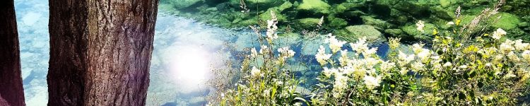 IMG-20170723-WA0095