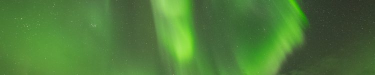 _DSC4792